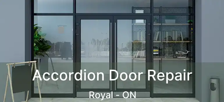  Accordion Door Repair Royal - ON