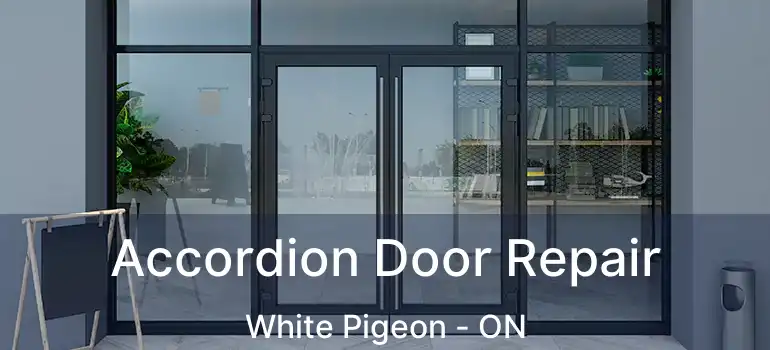  Accordion Door Repair White Pigeon - ON