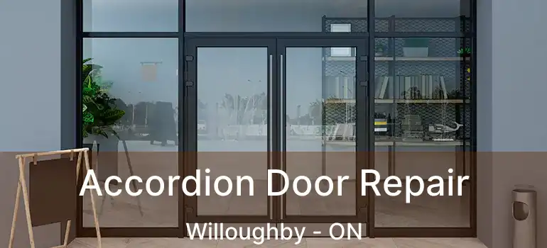  Accordion Door Repair Willoughby - ON