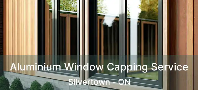  Aluminium Window Capping Service Silvertown - ON