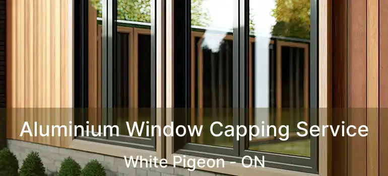  Aluminium Window Capping Service White Pigeon - ON