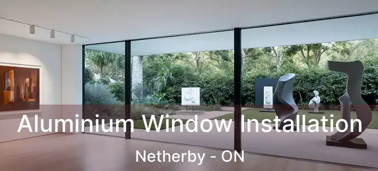  Aluminium Window Installation Netherby - ON