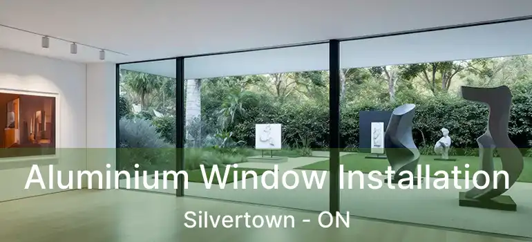  Aluminium Window Installation Silvertown - ON