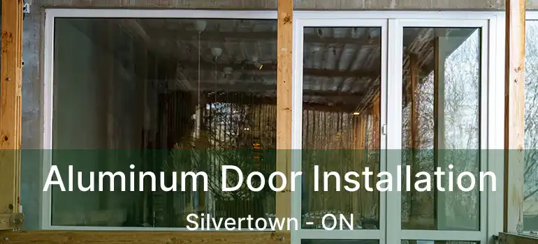  Aluminum Door Installation Silvertown - ON