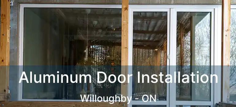  Aluminum Door Installation Willoughby - ON