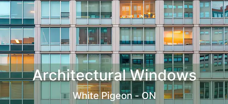  Architectural Windows White Pigeon - ON