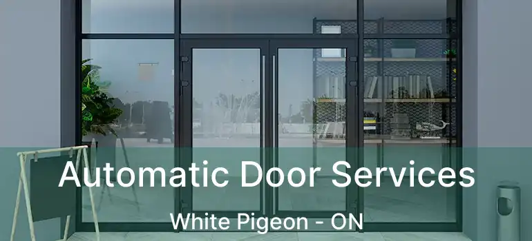  Automatic Door Services White Pigeon - ON