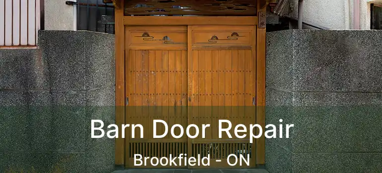  Barn Door Repair Brookfield - ON