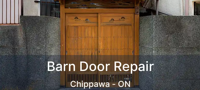  Barn Door Repair Chippawa - ON