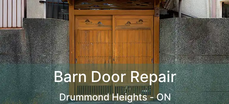  Barn Door Repair Drummond Heights - ON