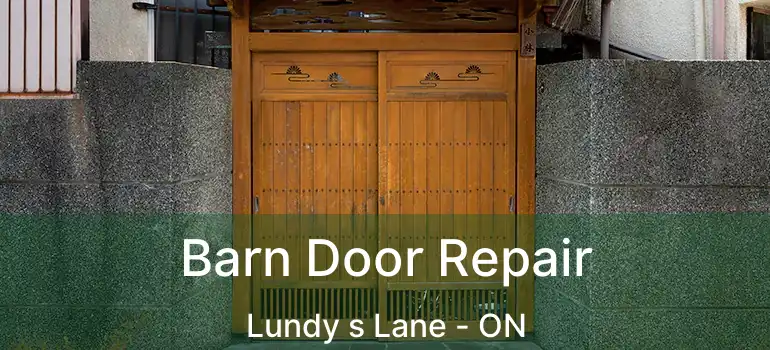  Barn Door Repair Lundy s Lane - ON