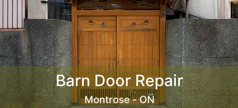  Barn Door Repair Montrose - ON