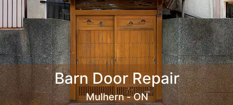  Barn Door Repair Mulhern - ON