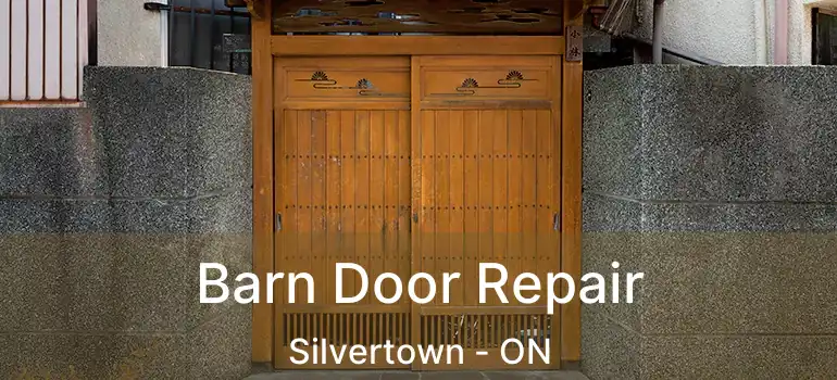  Barn Door Repair Silvertown - ON