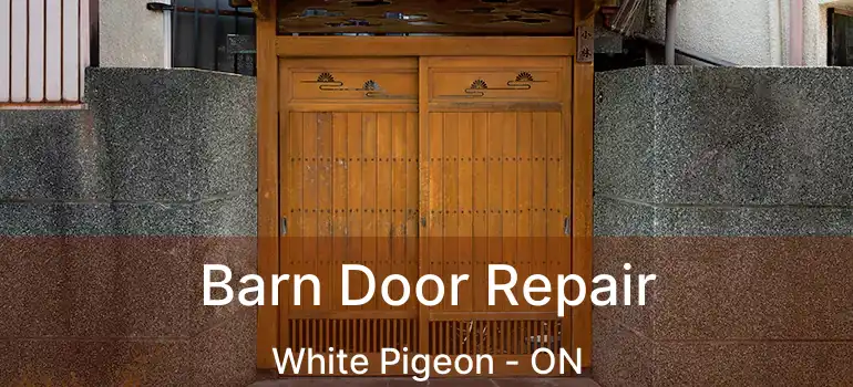  Barn Door Repair White Pigeon - ON