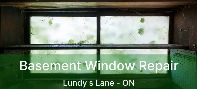  Basement Window Repair Lundy s Lane - ON