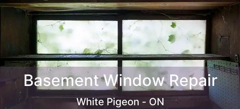  Basement Window Repair White Pigeon - ON