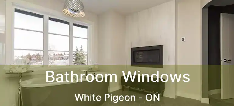  Bathroom Windows White Pigeon - ON