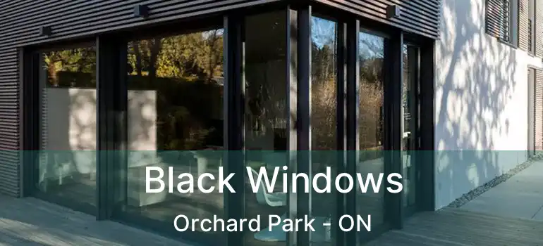  Black Windows Orchard Park - ON