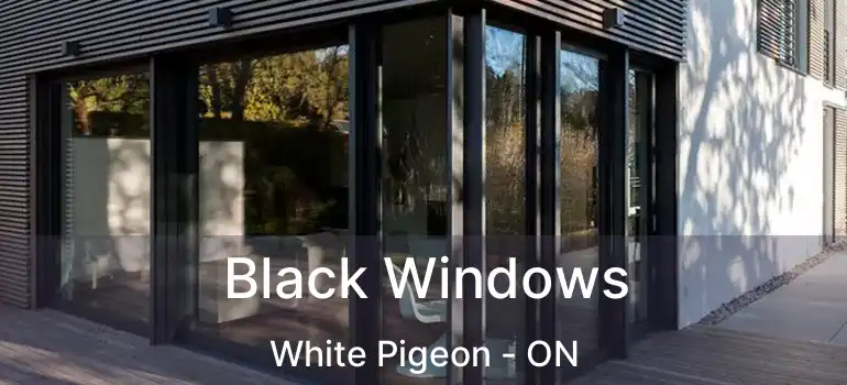  Black Windows White Pigeon - ON