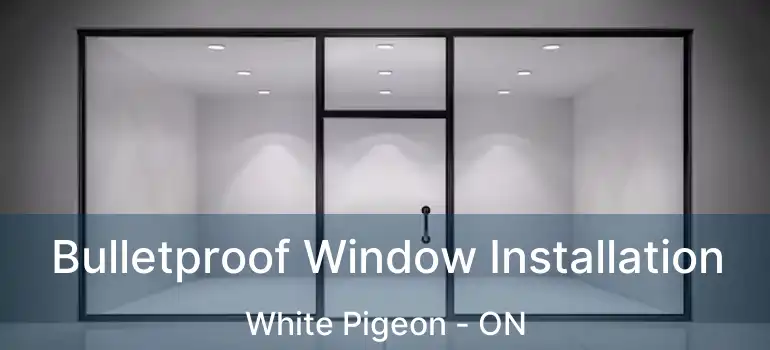  Bulletproof Window Installation White Pigeon - ON