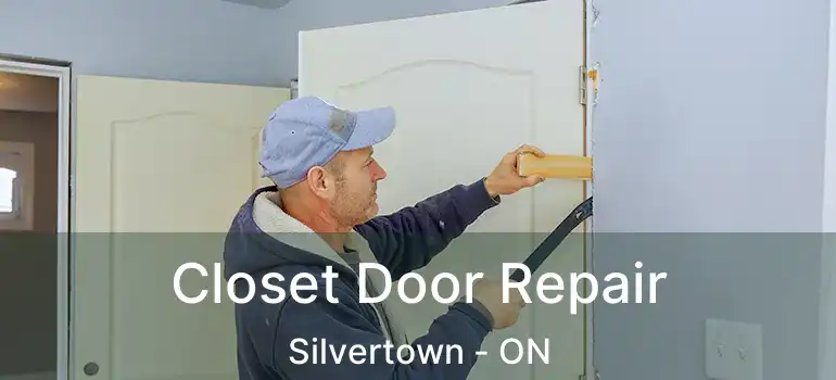  Closet Door Repair Silvertown - ON