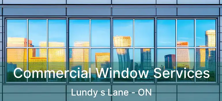  Commercial Window Services Lundy s Lane - ON