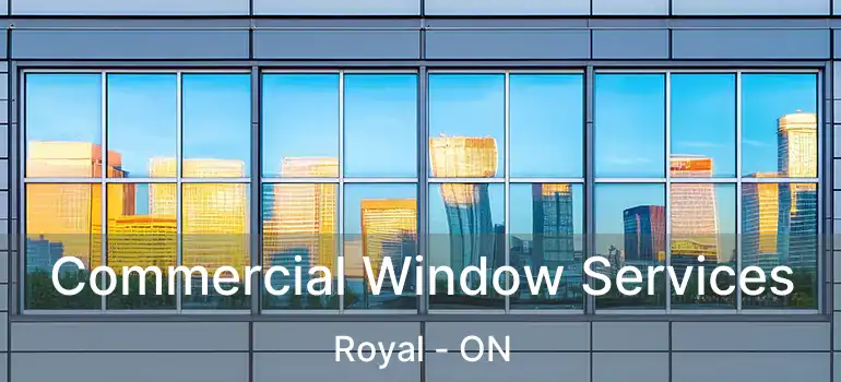  Commercial Window Services Royal - ON