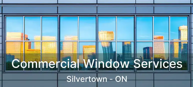  Commercial Window Services Silvertown - ON