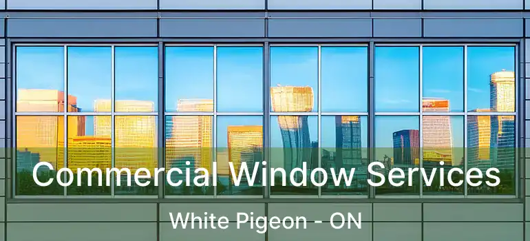  Commercial Window Services White Pigeon - ON