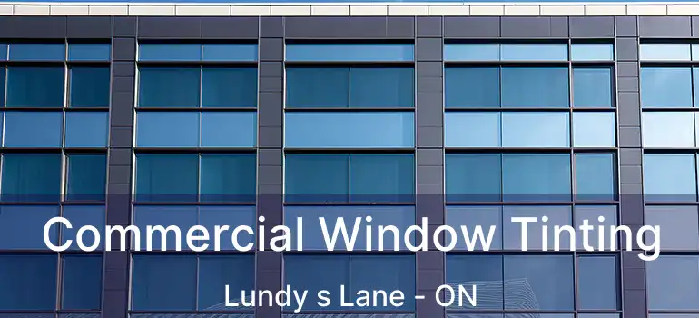  Commercial Window Tinting Lundy s Lane - ON