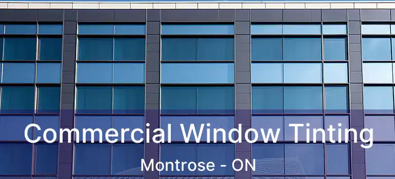  Commercial Window Tinting Montrose - ON