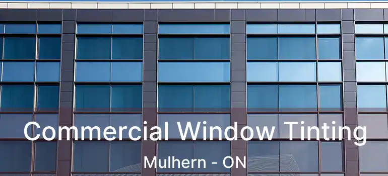  Commercial Window Tinting Mulhern - ON