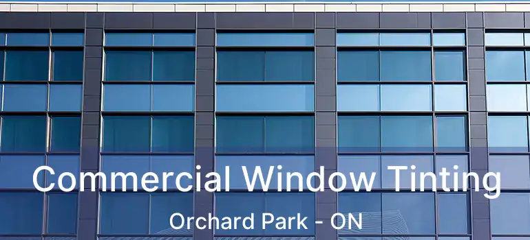  Commercial Window Tinting Orchard Park - ON