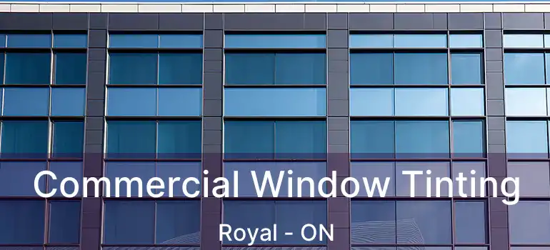  Commercial Window Tinting Royal - ON