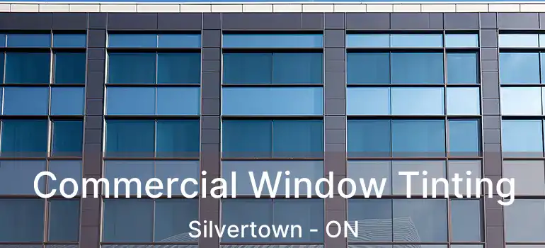  Commercial Window Tinting Silvertown - ON