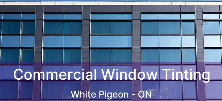  Commercial Window Tinting White Pigeon - ON