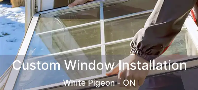  Custom Window Installation White Pigeon - ON