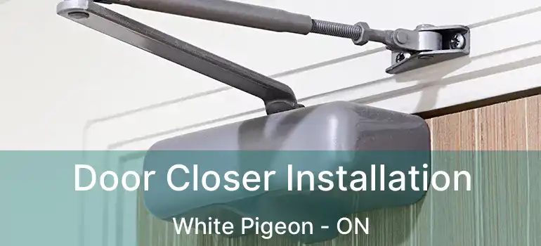  Door Closer Installation White Pigeon - ON