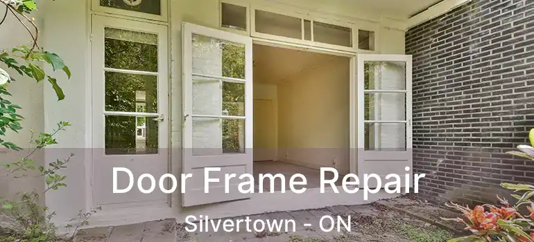  Door Frame Repair Silvertown - ON