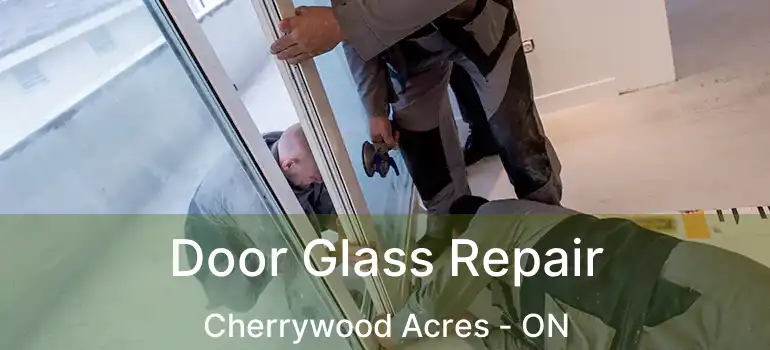  Door Glass Repair Cherrywood Acres - ON