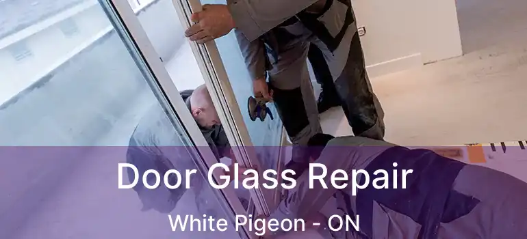  Door Glass Repair White Pigeon - ON