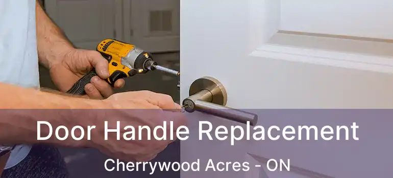  Door Handle Replacement Cherrywood Acres - ON