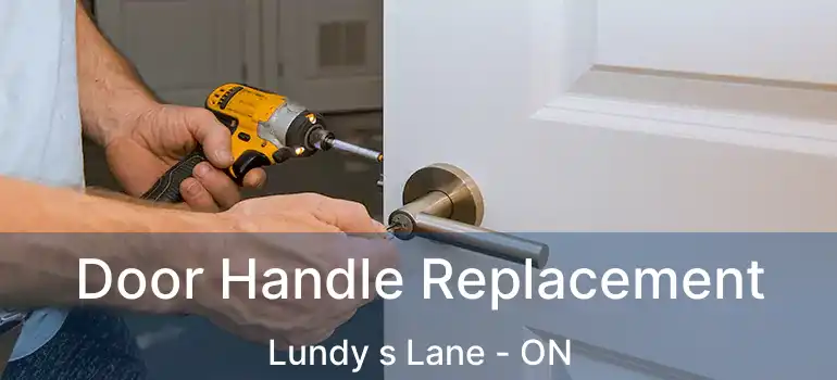  Door Handle Replacement Lundy s Lane - ON