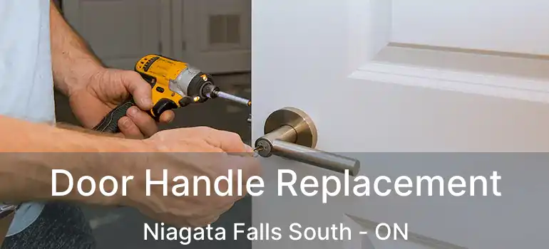  Door Handle Replacement Niagata Falls South - ON