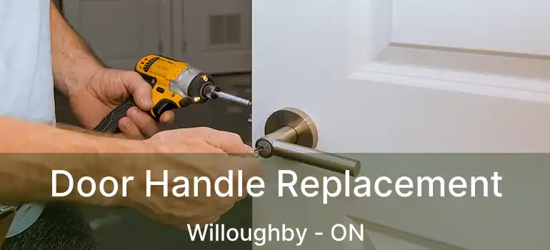  Door Handle Replacement Willoughby - ON