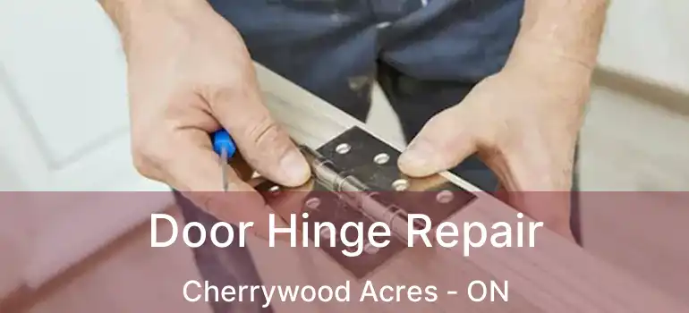  Door Hinge Repair Cherrywood Acres - ON