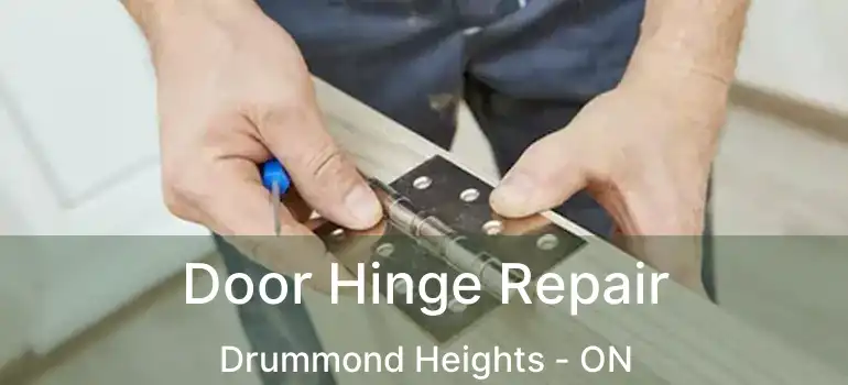  Door Hinge Repair Drummond Heights - ON