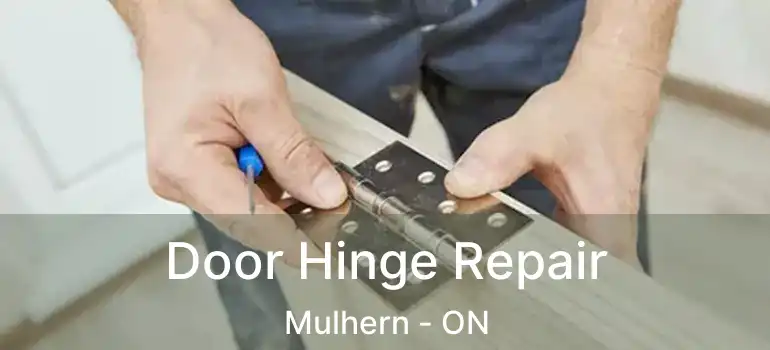  Door Hinge Repair Mulhern - ON