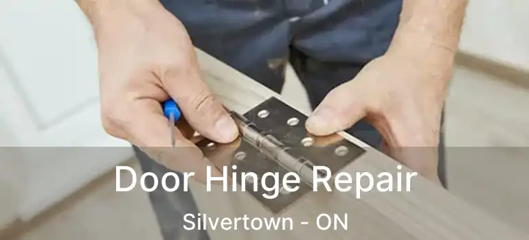  Door Hinge Repair Silvertown - ON